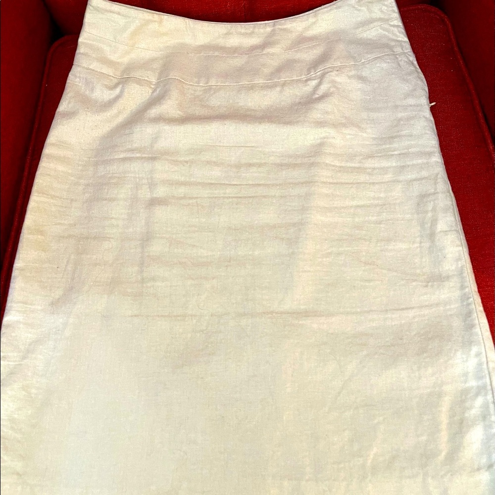 Skirt from Banana Republic